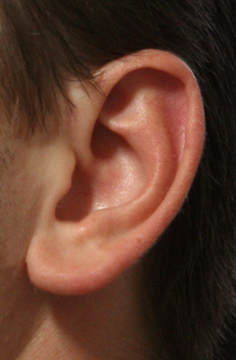 The Ear