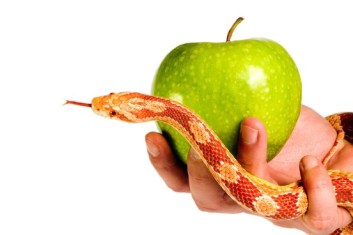 Apple and snake