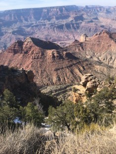 Grand Canyon 1