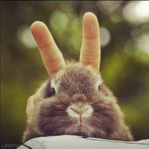 1776e6f9703dffb070e55b8b6153271d