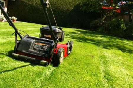 Mowing the lawn